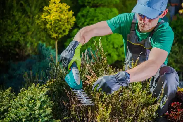 landscaping services Plaquemine